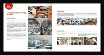 东莞市尚佳膳食管理服务 专业化餐饮管理的全面解析